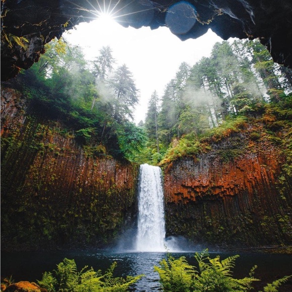 Magical Reminders 🌷✨💫✨🌷 - Picture 9 of 10